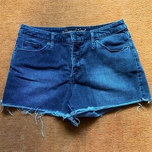 Distressed High Rise Denim Shorts